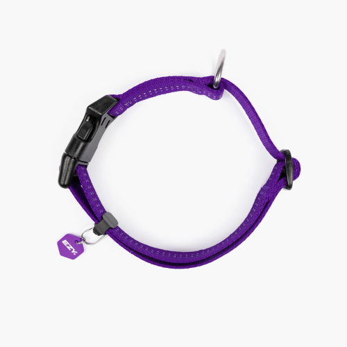Dog Collar - ED Essential Collar Adjustable Small (Purple)