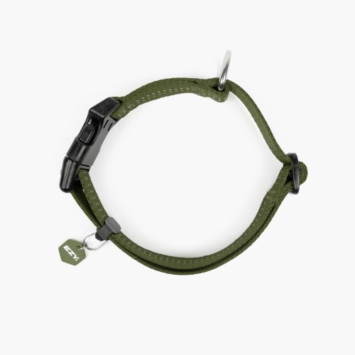Dog Collar - ED Essential Collar Adjustable Large (Green)