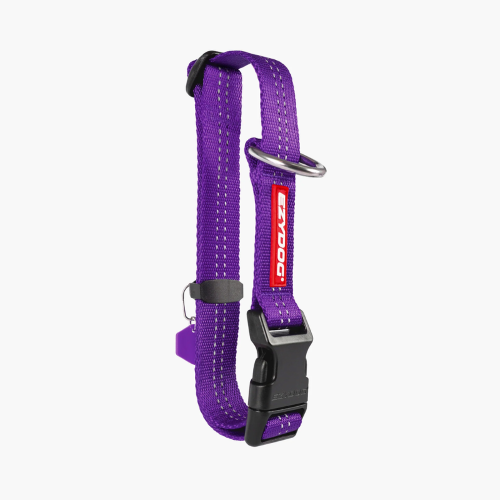 Dog Collar - ED Essential Collar Adjustable Large (Purple)