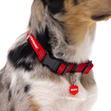 Dog Collar - ED Essential Collar Adjustable XL (Blue)