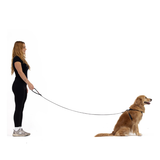 Adjustable Dog Leash - ED Essential 25mm (Green)