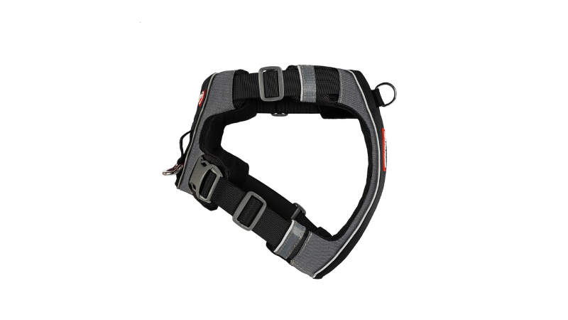 Black ED X-Link XL Dog Harness featuring front and rear clip points, ergonomic design, reflective piping, and adjustable fit.