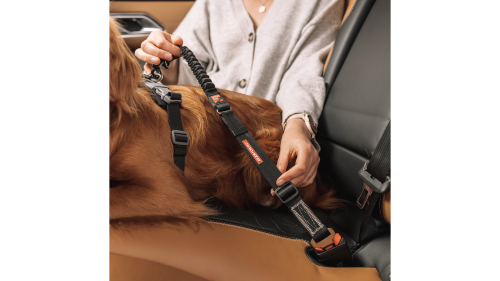 Adjustable dog collar with Zero Shock technology for safe and comfortable car travel, compatible with EzyDog harnesses.