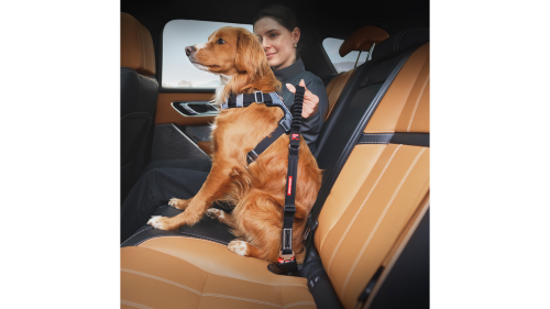 Adjustable dog collar with Zero Shock technology, ensuring safe and comfortable car travel for your pet.