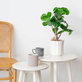 Ceramic Florence Vase Matte White 15Dx15cmH.