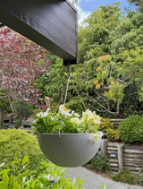 Hanging Bowl - Nova Large White 17 x 35cm (Set of 2)