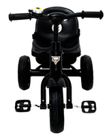 Kids Thunder Plug & Play Trike With Seat Belt DT-640 Black