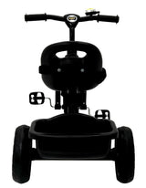 Kids Thunder Plug & Play Trike With Seat Belt DT-640 Black