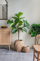 PLANTER - Cement (38 x 38 x 37.5cm)