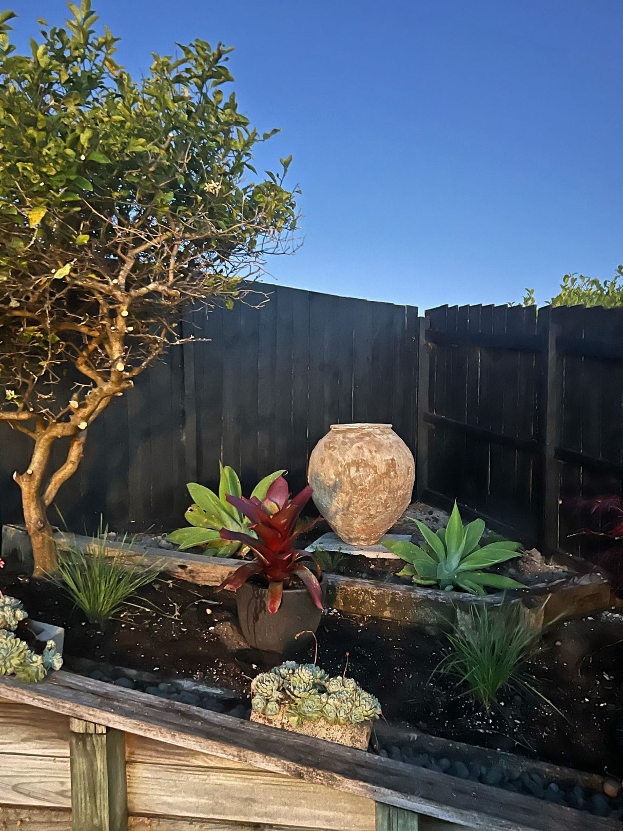 Advika Water Pot - Large (90cm)