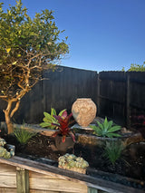 Advika Water Pot - Large (90cm)