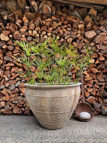 Open Water Pot - Advika