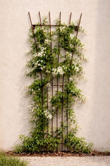 Plant Support - Wall Panelling Grid 161cm (Set of 2)