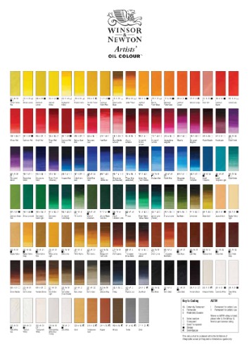 Winsor & Newton Artists' Oil Colour 37ml - Davy's Gray (217 )