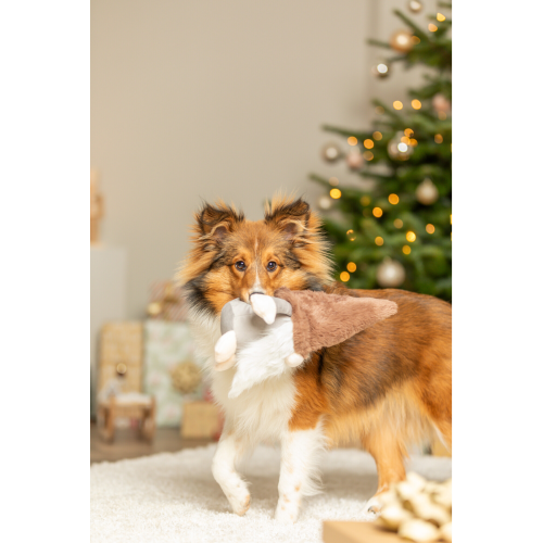 Dog Toy - Xmas Gnome (30cm)