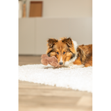 Dog Toy - Xmas Gingerbread (16cm)