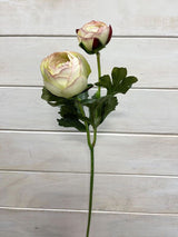 Artificial SIngle Ranunculus With Bud (Pink Green)