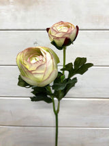 Artificial SIngle Ranunculus With Bud (Pink Green)