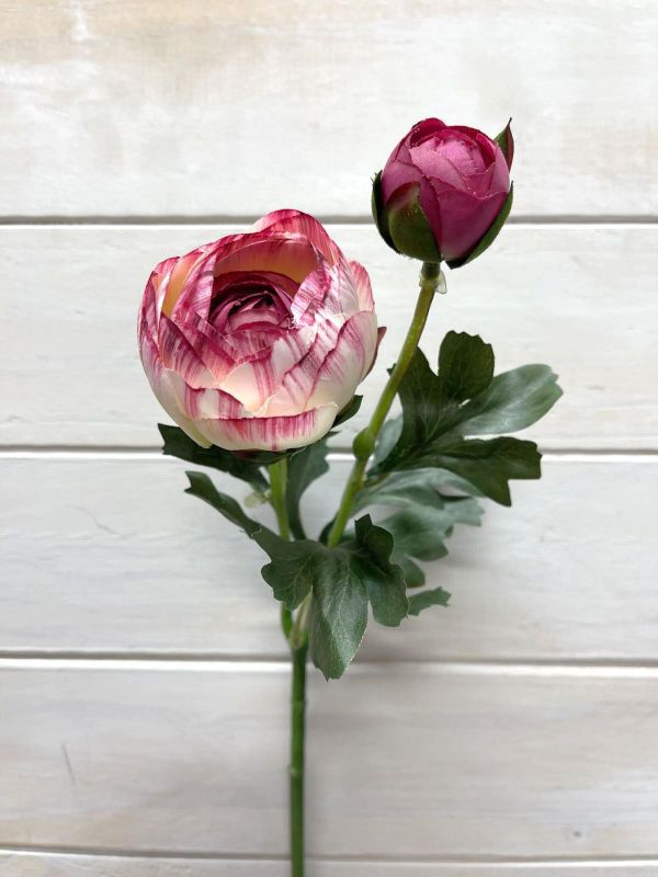 Artificial SIngle Ranunculus With Bud (Pink White)