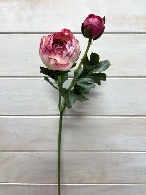 Artificial SIngle Ranunculus With Bud (Pink White)