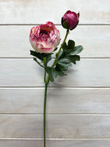 Artificial SIngle Ranunculus With Bud (Pink White)