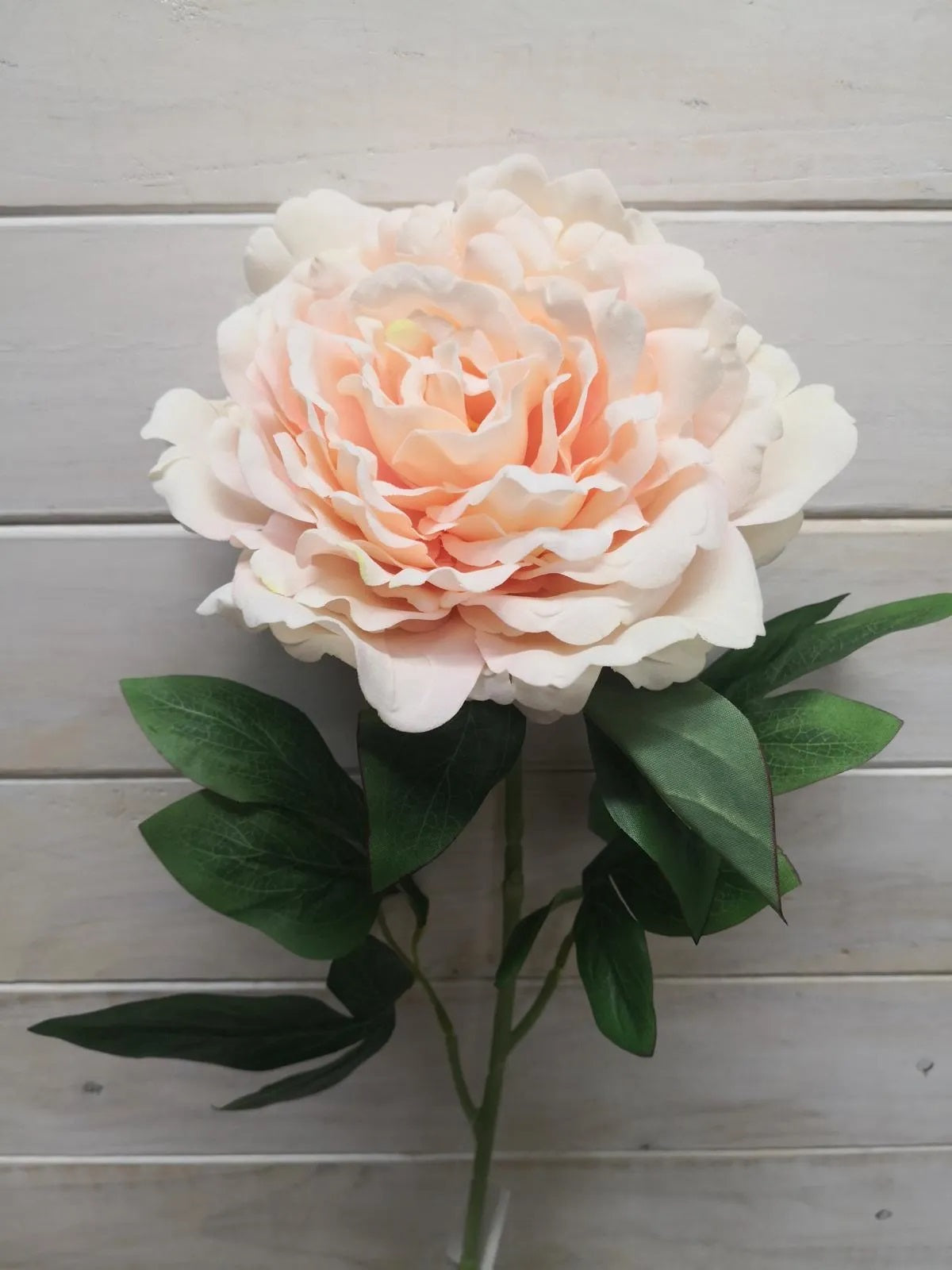 Artificial Flower Stem - Large Velvet Peony (Champagne)