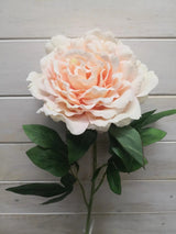 Artificial Flower Stem - Large Velvet Peony (Champagne)