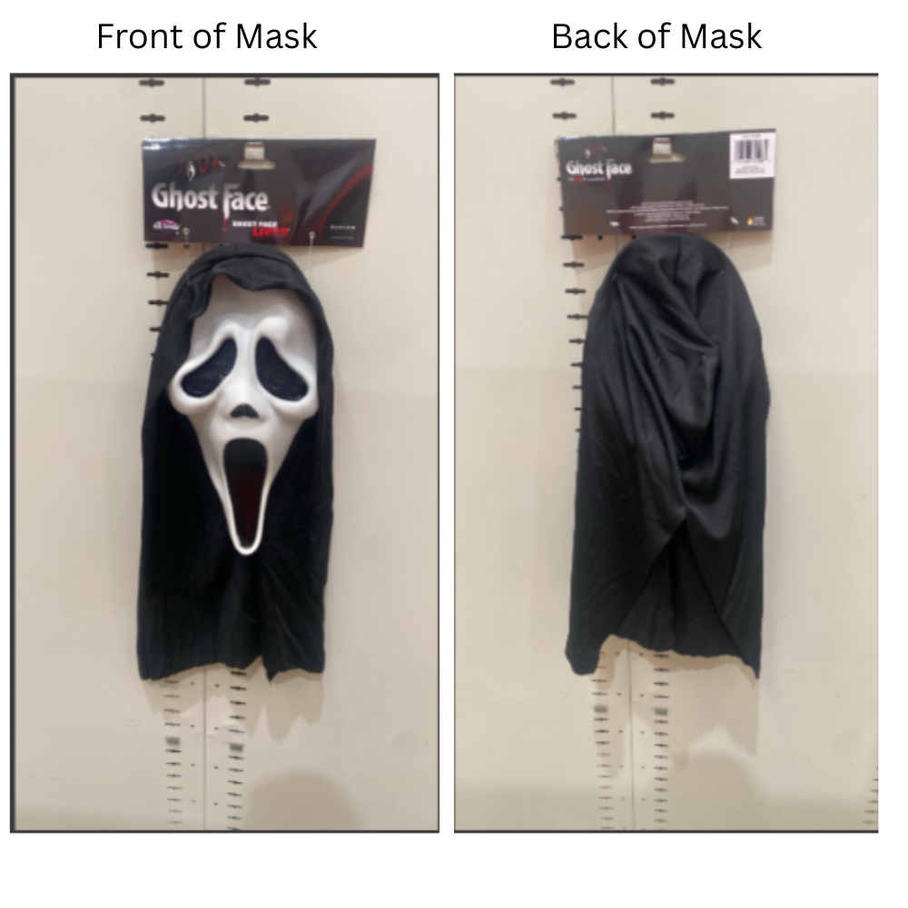 Costume Accessory  - Ghost Face Mask with Shroud