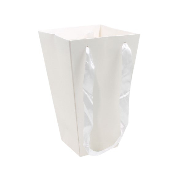 Kraft Bag White Pack of 10 230gsm