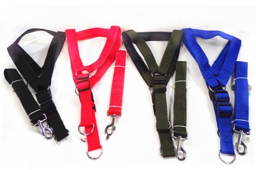 Dog Leash  4cm (Set Of 3 Assorted)