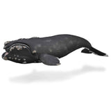 CollectA Right Whale XL figurine, hand-painted, showcasing detailed features for educational play and marine conservation awareness.