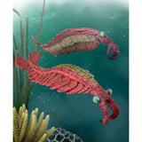 Handcrafted CollectA Anomalocaris figurine depicting a detailed, colorful ancient marine predator with claws and compound eyes.