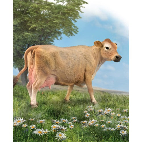 Hand-painted CollectA Jersey Cow figurine, highlighting fawn color and detailed features for collectors and educational use.