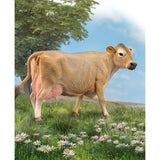 Figurine - CollectA Jersey Cow Large