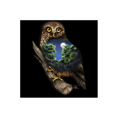 Sophie Blokker Kiwiana LED Canvas featuring a Morepork, offering a warm glow and unique nature-inspired home decor.