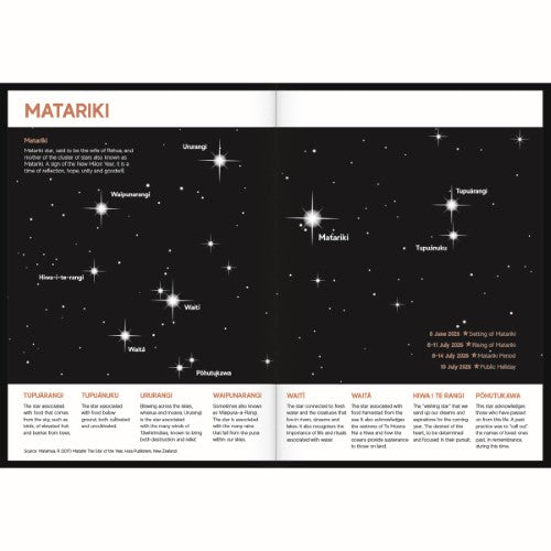 Tuhi Diary B51 Day Per Page Rataka Black Koru 2026