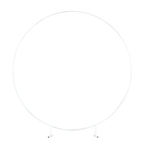 White Metal Circle Hoop Frame 1pk