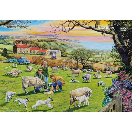 Gibsons: Call The Vet (4X500PC)