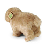 Rappa: Capybara (30cm)