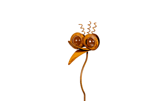 Omni Rustic Funky Bird Amber Eyes Set Of 24