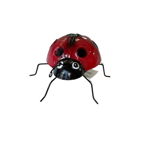 Omni Lady Bird - Small (6 Per Set)
