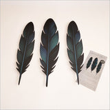 Kiwiana Wall Art - ACM Printed Tui Feathers Set