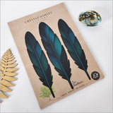 Wall Art - Pop Out Tui Feathers Set