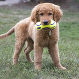 Dog Toy - KONG AirDog Squeaker Dumbbell Med