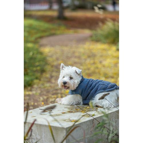Dog Clothing - Ajou Coat XS: 30cm Blue