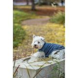 Dog Clothing - Ajou Coat XS: 30cm Blue