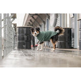 Dog Clothing - Amsterdam Sweatshirt L: 55cm Dark Green