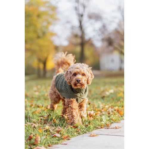 Dog Clothing - Norwood Pullover M: 50cm Olive Green
