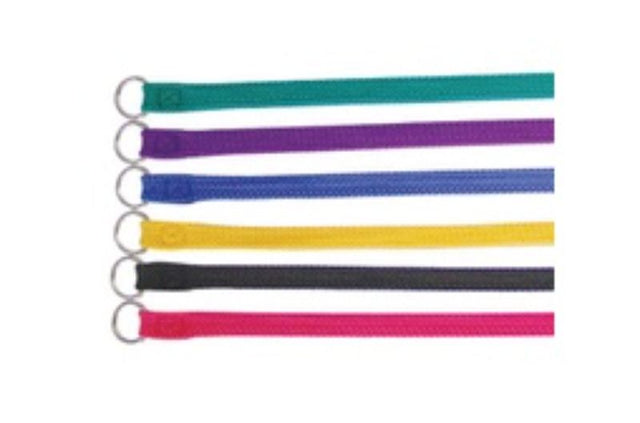 Pink nylon slip lead for dogs, 20mm wide and 180cm long, perfect for walks and training.