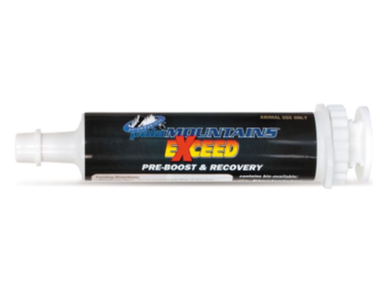 My Beau Exceed Pre-Boost & Recovery 80mL Syringe